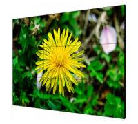 LCD ������ DS-D2055LE-G ��� ����������, 55", 500��/�2 ���:1.8 ��