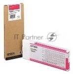 �������� �������� Epson C13T606B00 ��������� (220 ��) ��� Stylus Pro 4800