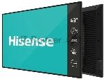������ Hisense 43" 43DM66D ������ D-LED DID LED 8ms 16:9 HDMI M/M ������� 1200:1 500cd 178��/178�� 3840x2160 DP 4K USB 8.5��