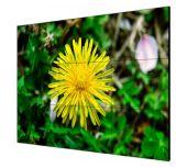 LCD-экран DS-D2055LE-G HIKVISION