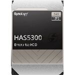 ������� ���� Synology HAS5300-12T SAS 12TB 7200RPM 12Gb/S 256MB