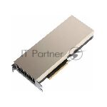 ���������� NVIDIA Tesla A100, 80 GB GDDR5, 5120 bit, GPU 1065 MHz