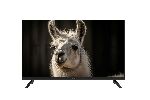 ��������� TopDevice 32" TDWC32BH2210V ������ DLED HD 60Hz Smart TV WildRed 1GB/8GB