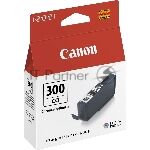 �������� �������� Canon PFI-300 CO EUR/OCN ���������� (272 ���.) ��� Canon imagePROGRAF PRO-300