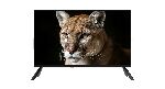 ��������� TopDevice 24" TDWC24BH1000I ������ DLED HD 60Hz