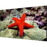 ����� LCD Hikvision DS-D2055LR-G 55", 1920x1080, 500 ��/�2, 1200:1, 60 ��, 8 ��, 178�